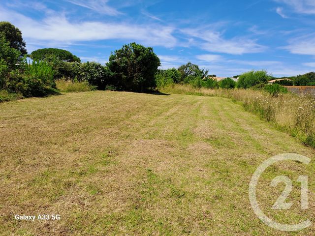 terrain - ST PIERRE D OLERON - 17